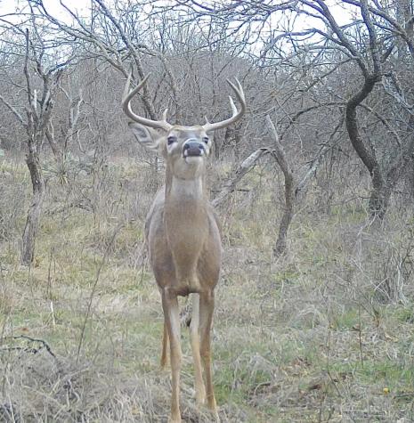14725 Highway 183 N May TX 76857