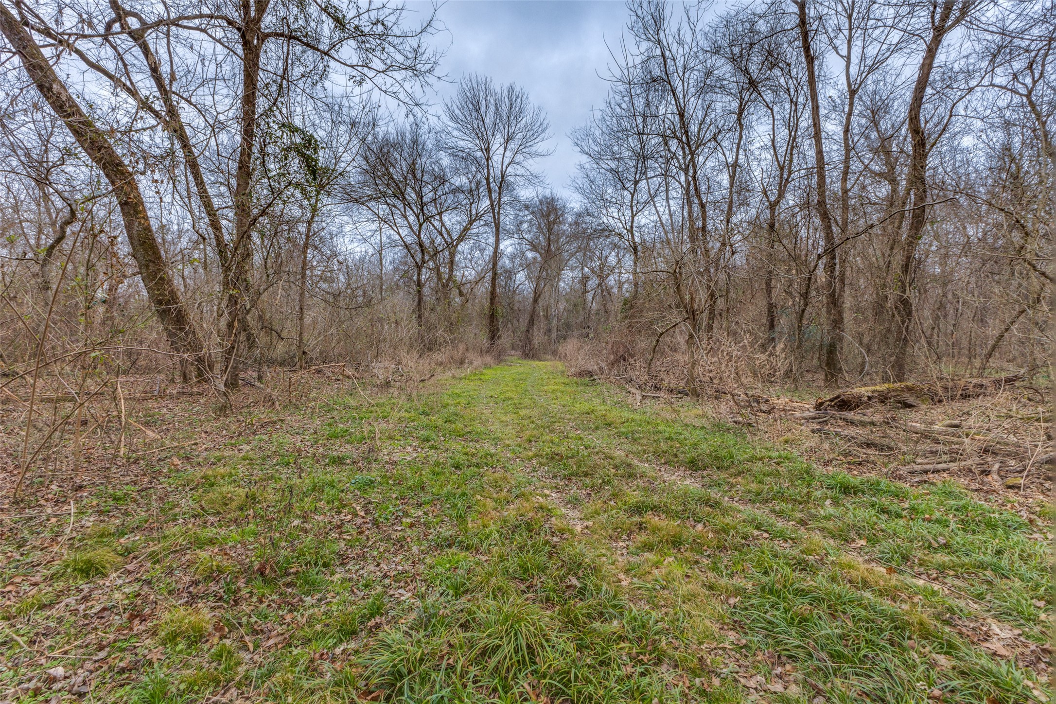 3025 Farm Road 900 W Saltillo TX 75478