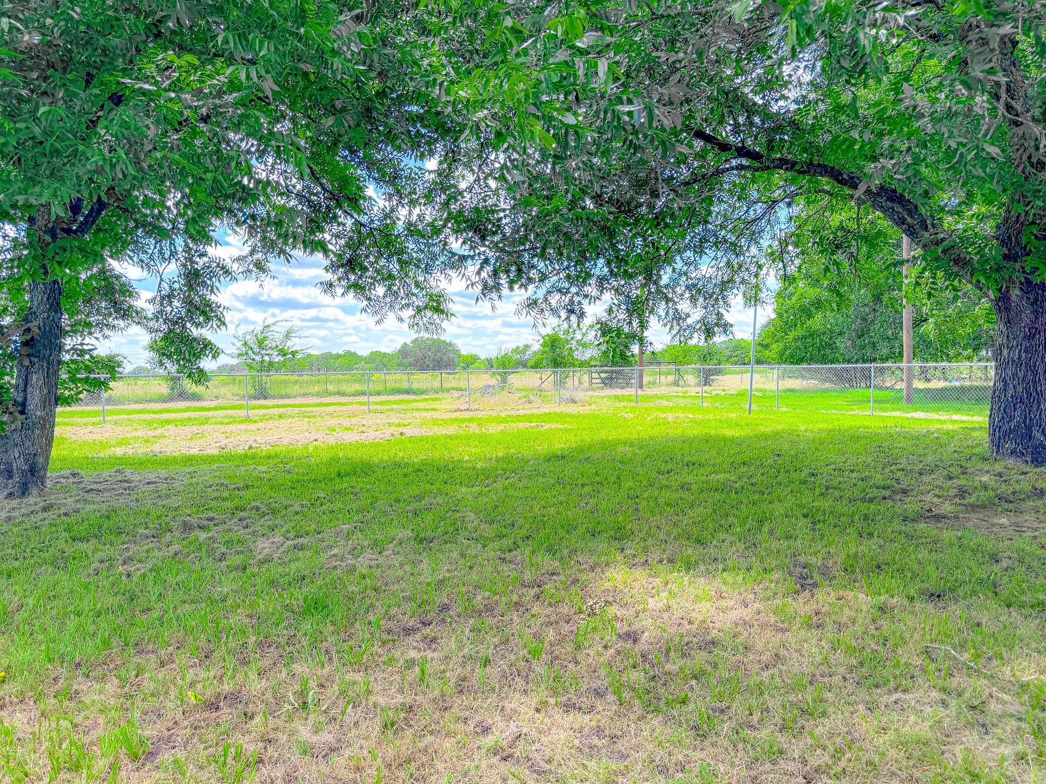 955 Fm 667 Purdon TX 76679