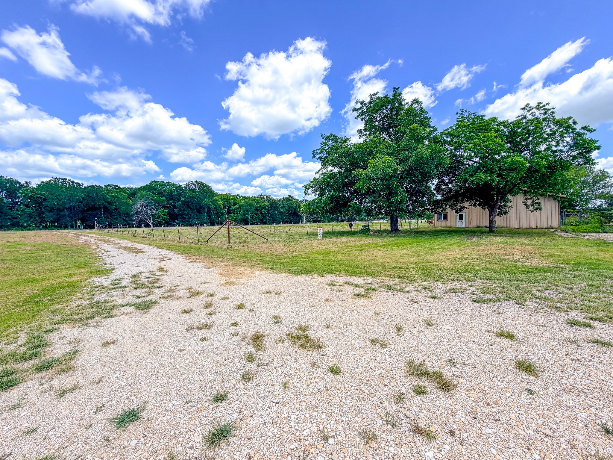 955 Fm 667 Purdon TX 76679