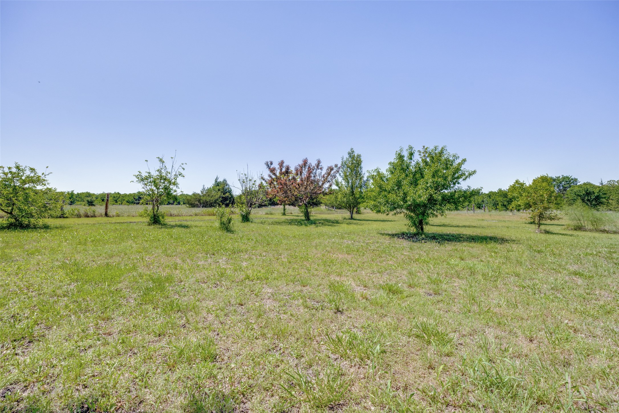 744 County Road 4910 Trenton TX 75490