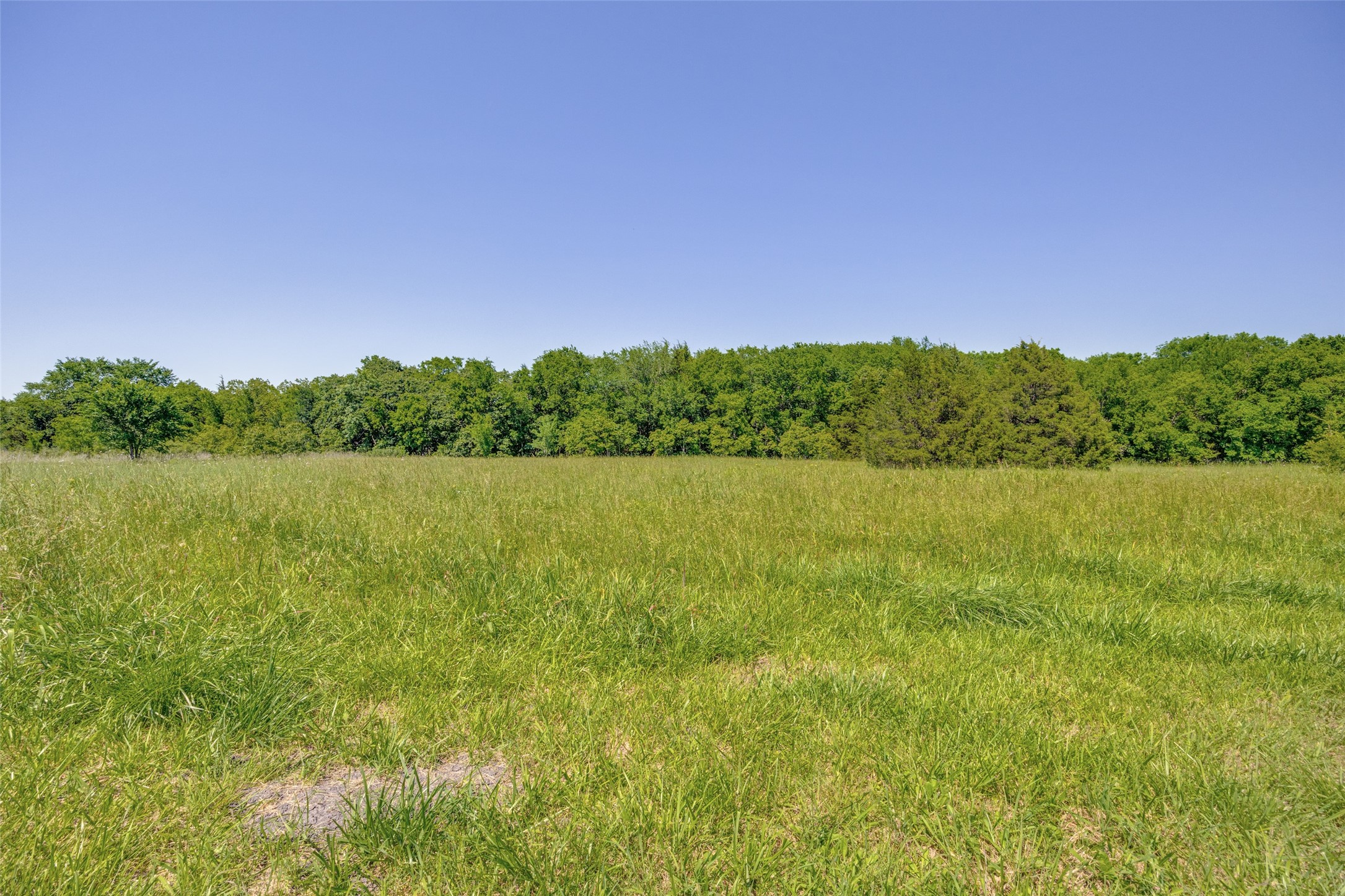 744 County Road 4910 Trenton TX 75490