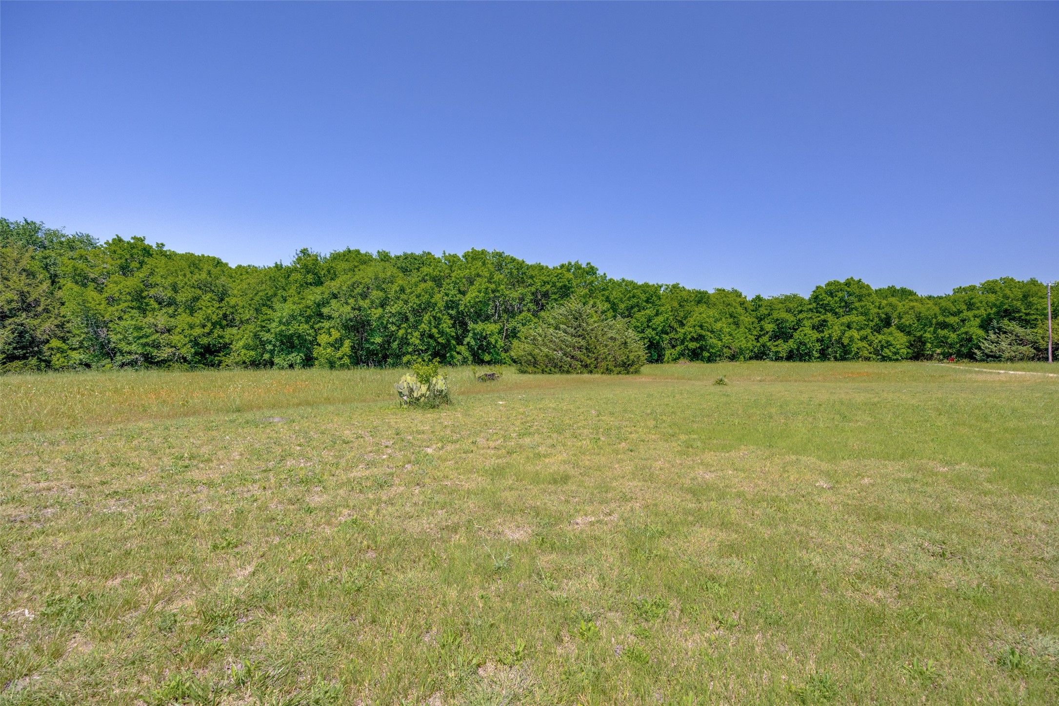 744 County Road 4910 Trenton TX 75490