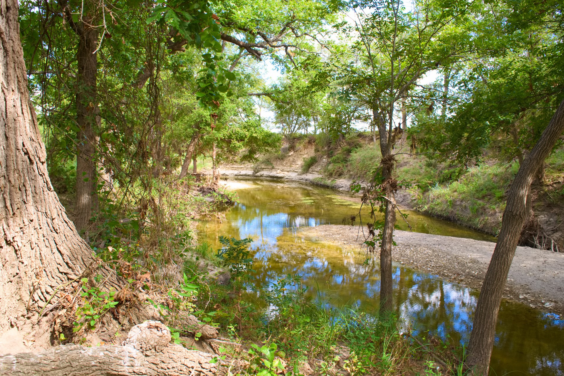 1690 County Road 530 Evant TX 76525