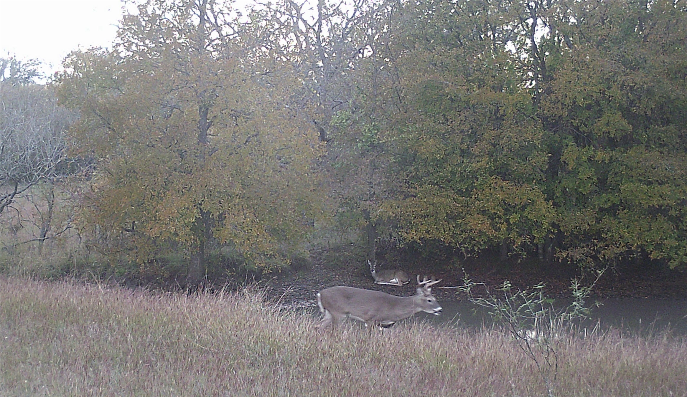 1690 County Road 530 Evant TX 76525