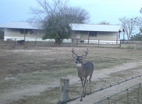 1690 County Road 530 Evant TX 76525