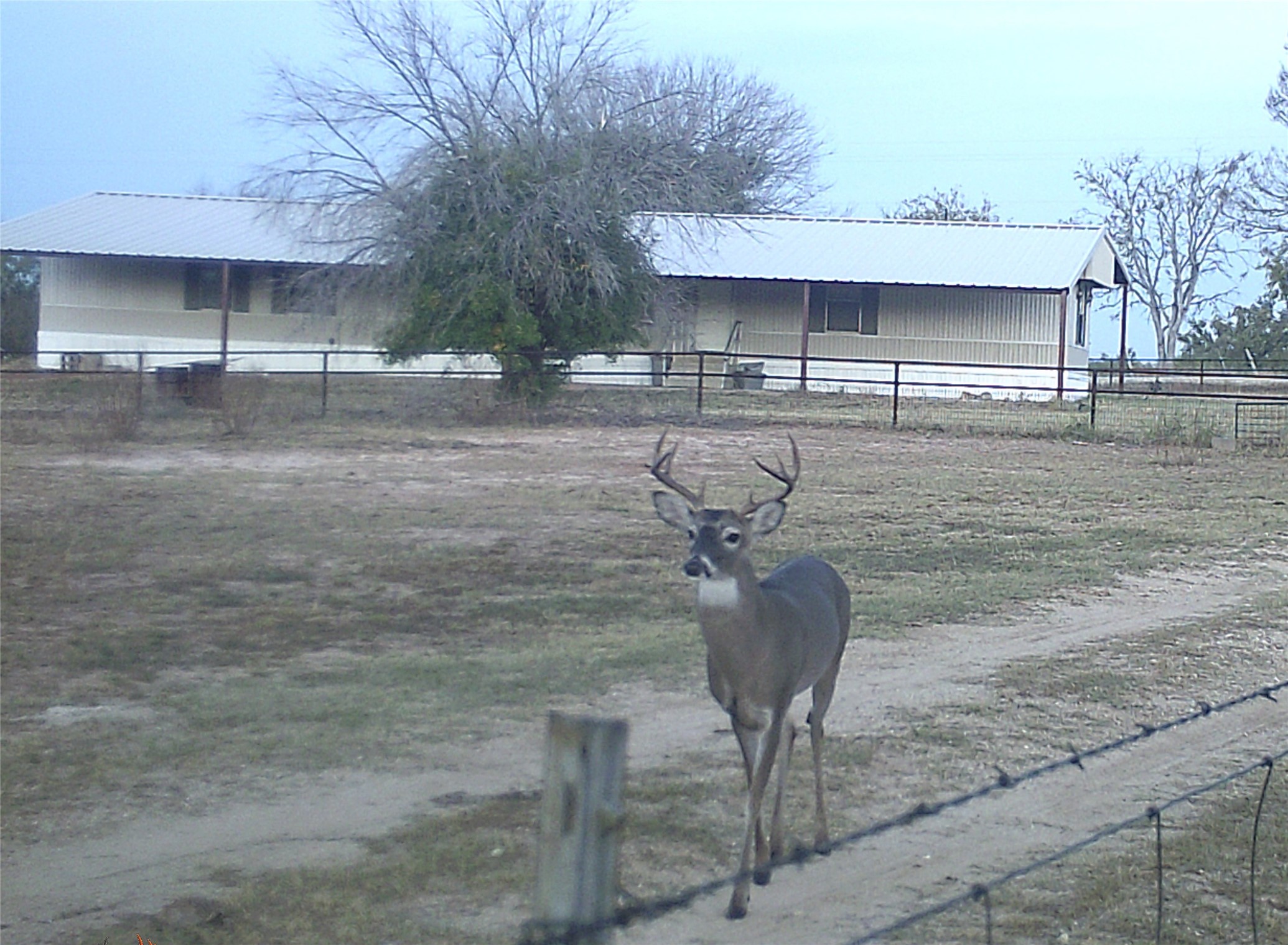 1690 County Road 530 Evant TX 76525
