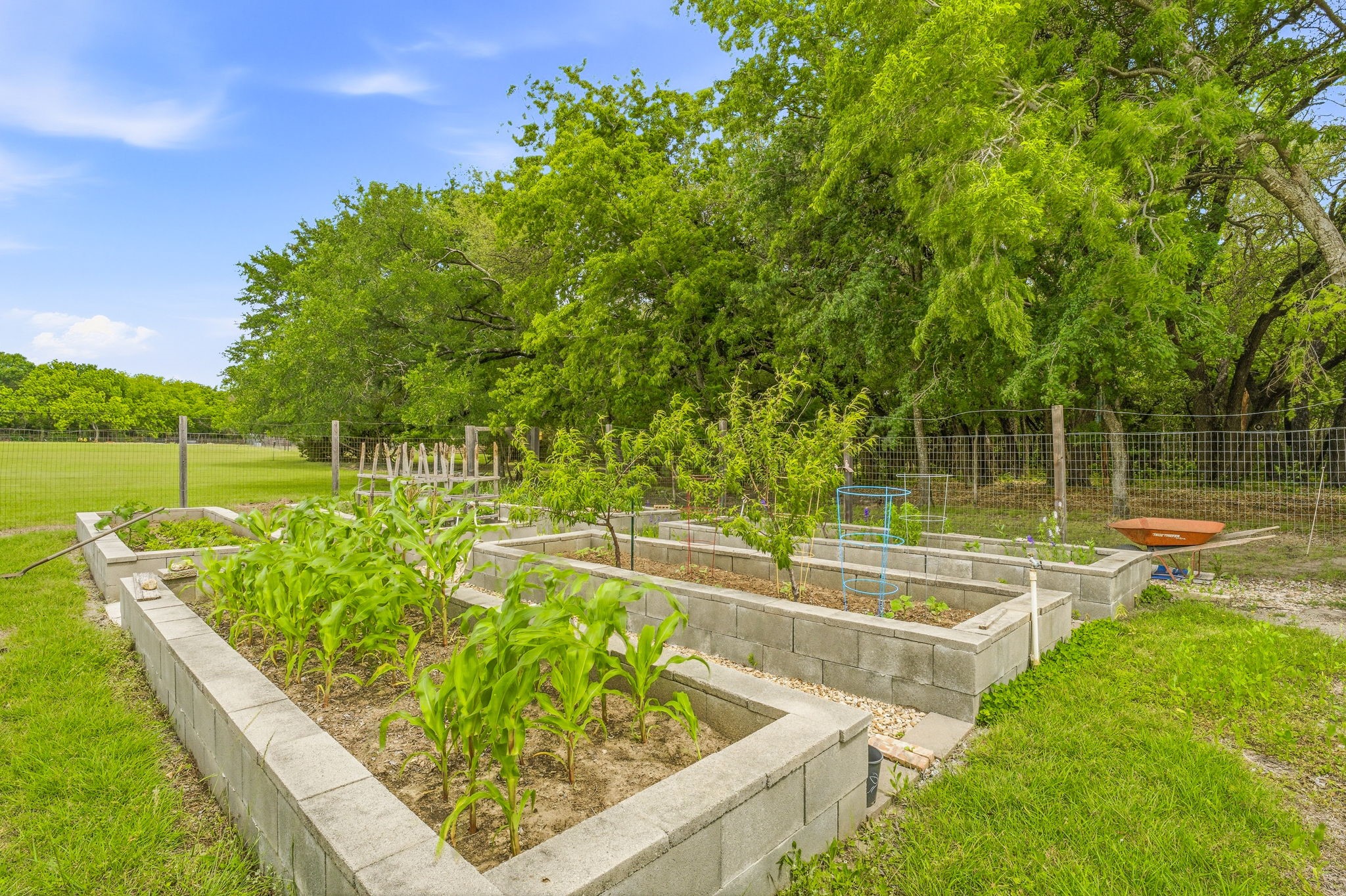 1384 Rock Creek Drive Glen Rose TX 76043