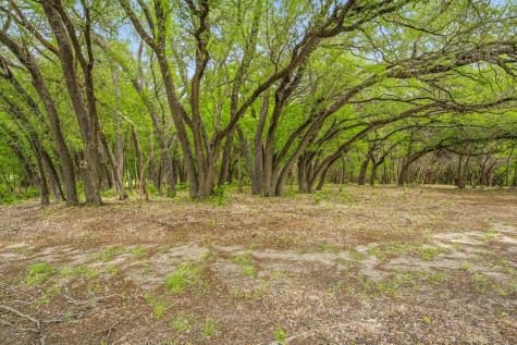 1384 Rock Creek Drive Glen Rose TX 76043