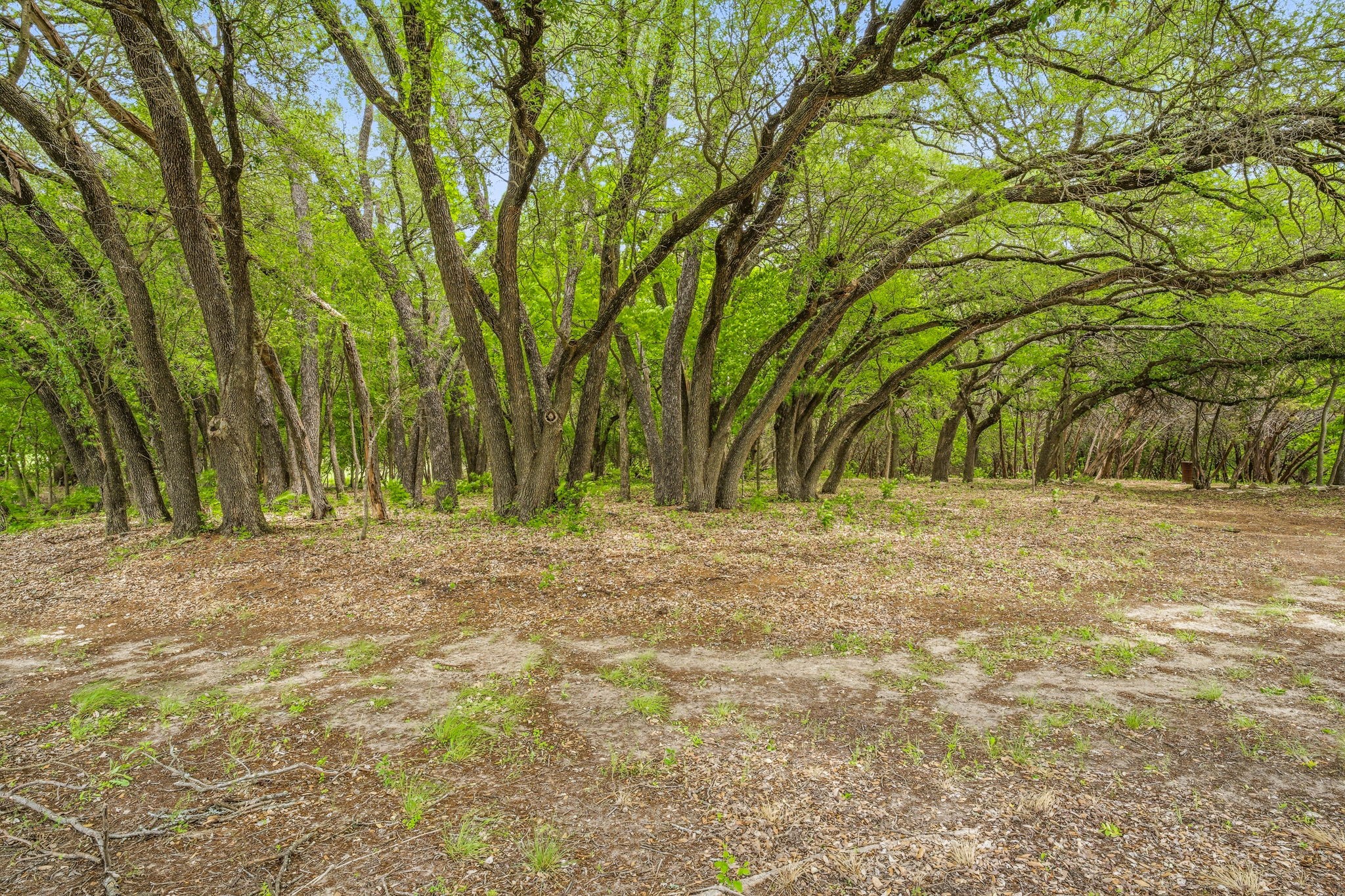 1384 Rock Creek Drive Glen Rose TX 76043