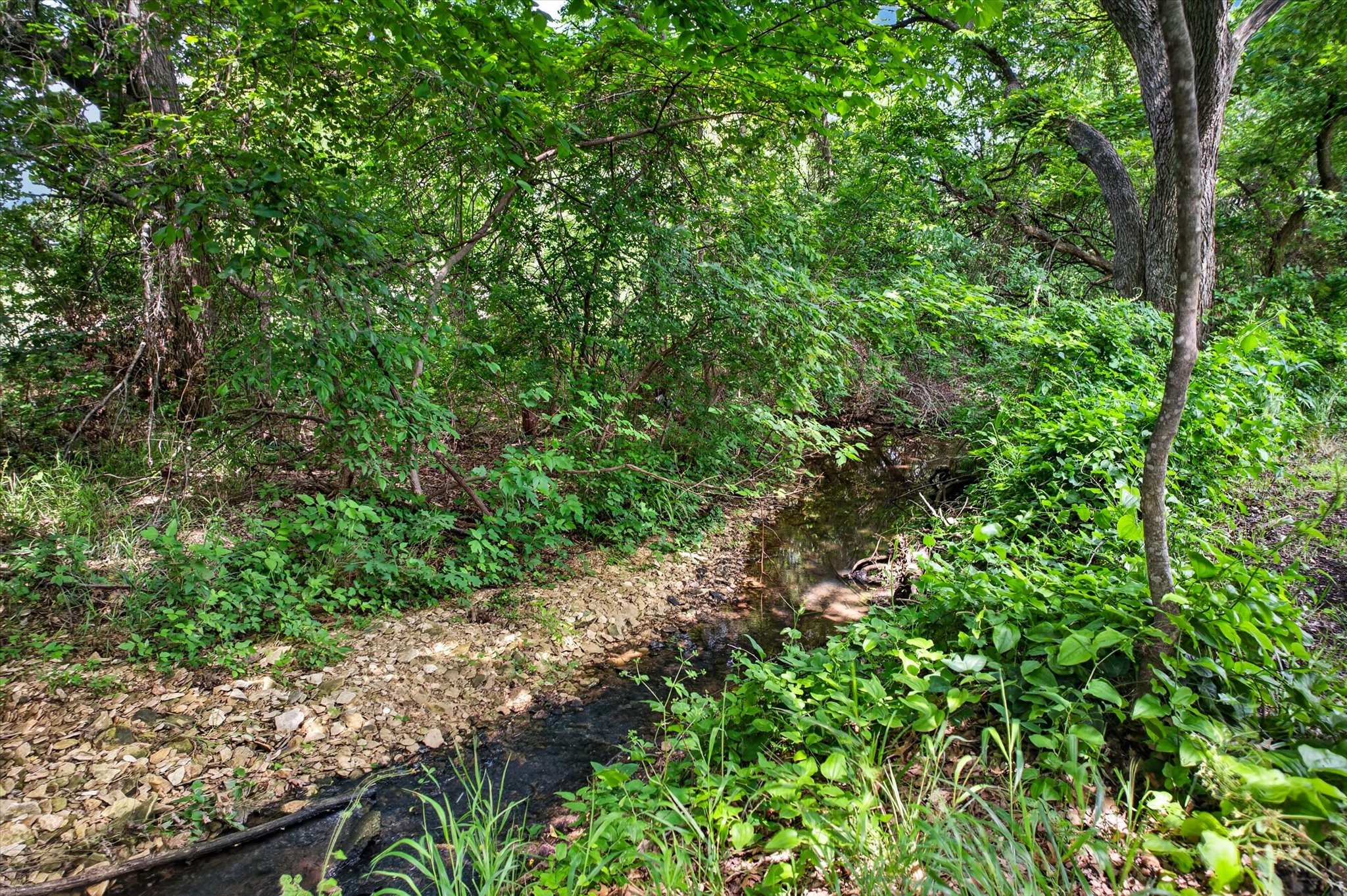 657 Hidden Lakes Boulevard Gunter TX 75058