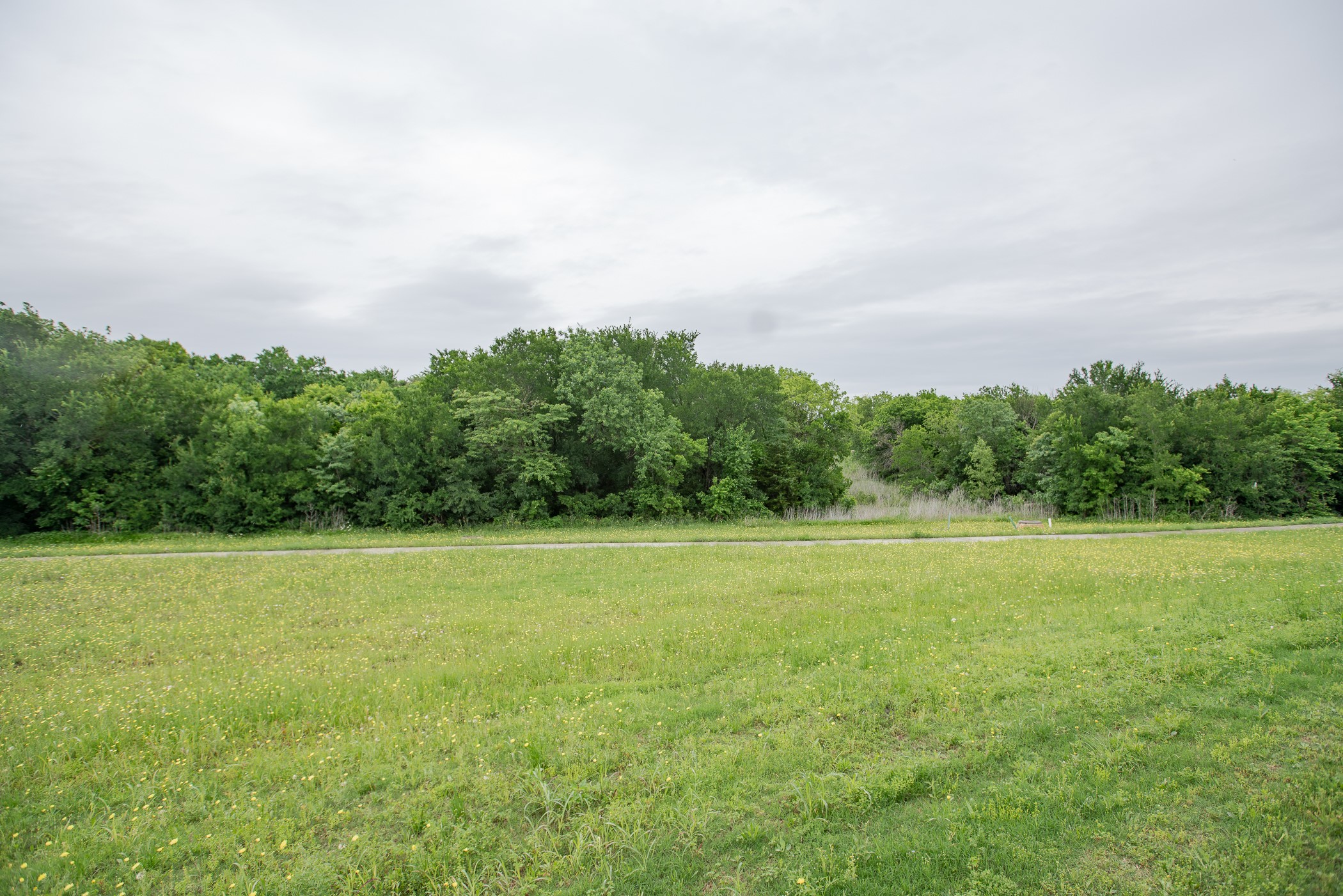 167 Summit Court Lavon TX 75166