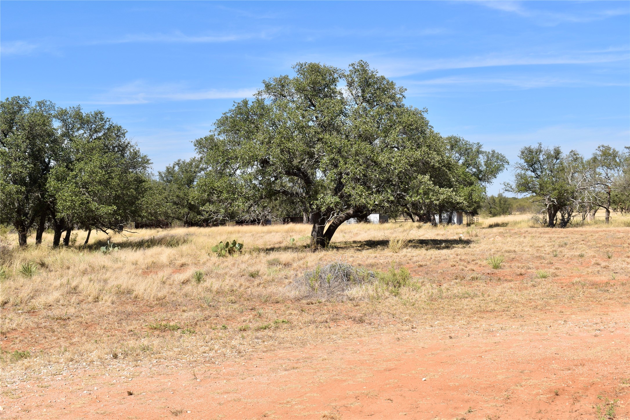 19319 Ranch Road 1871 Mason TX 76856