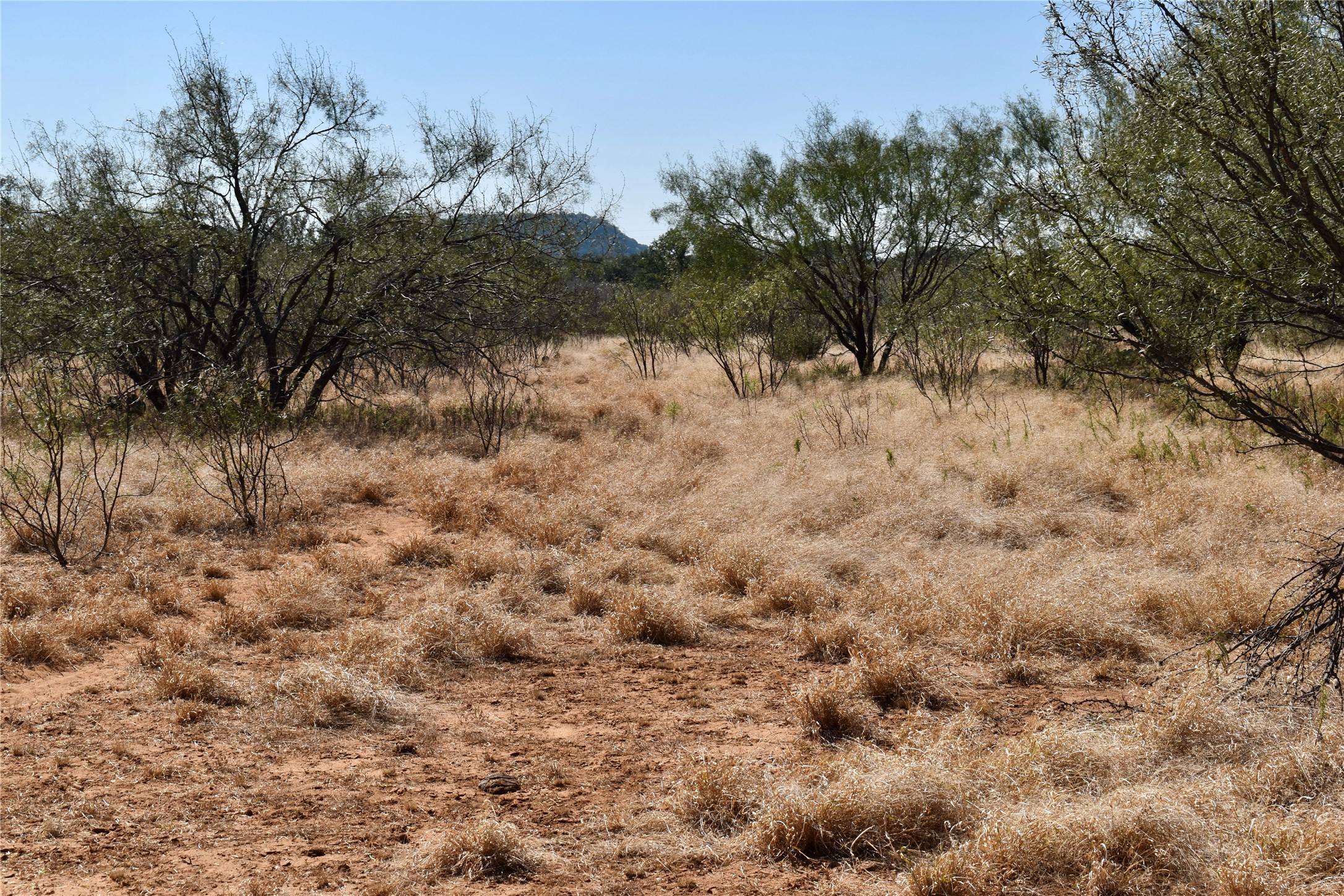 19319 Ranch Road 1871 Mason TX 76856