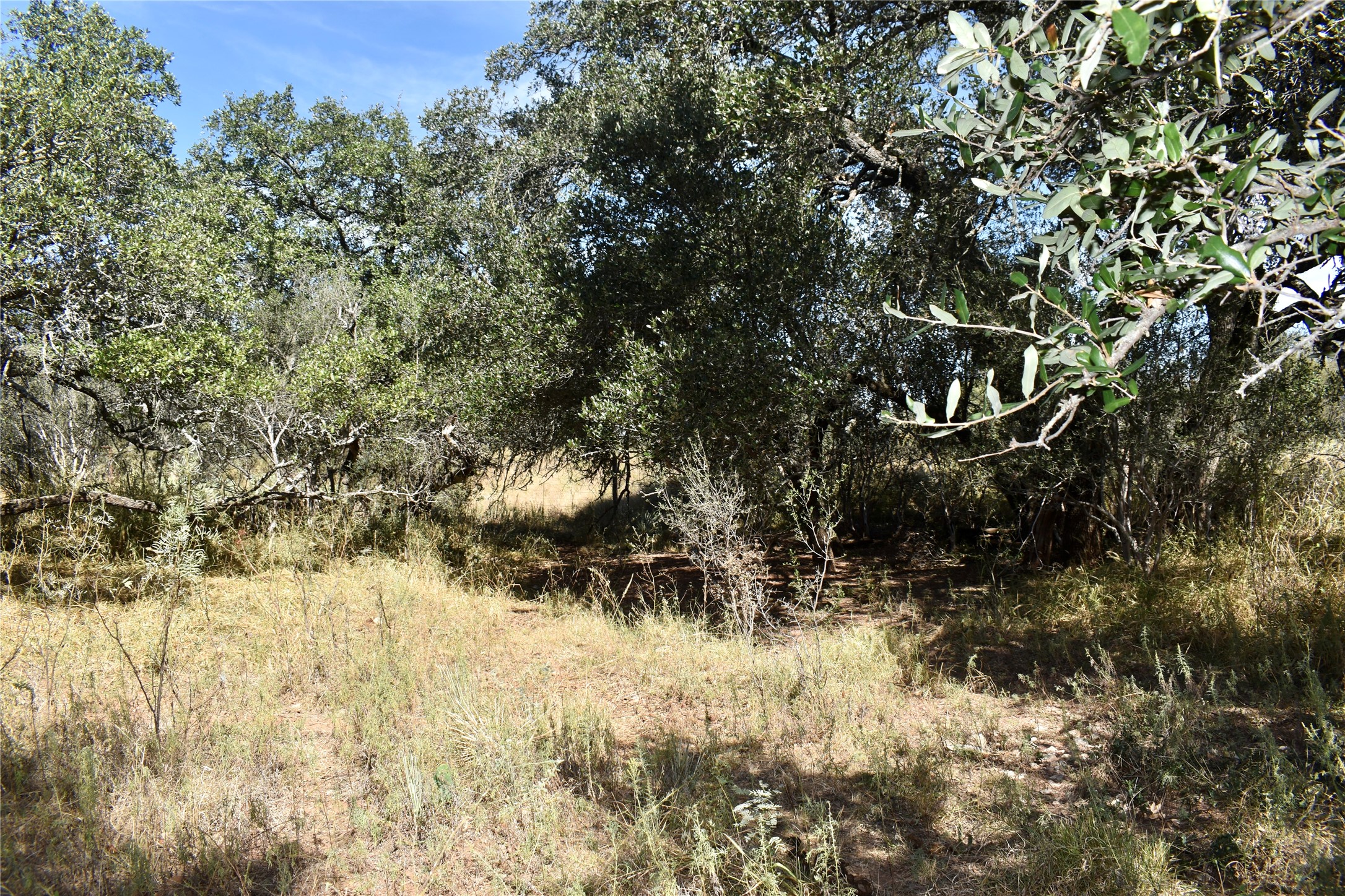 19319 Ranch Road 1871 Mason TX 76856