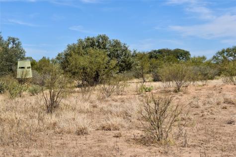 19319 Ranch Road 1871 Mason TX 76856