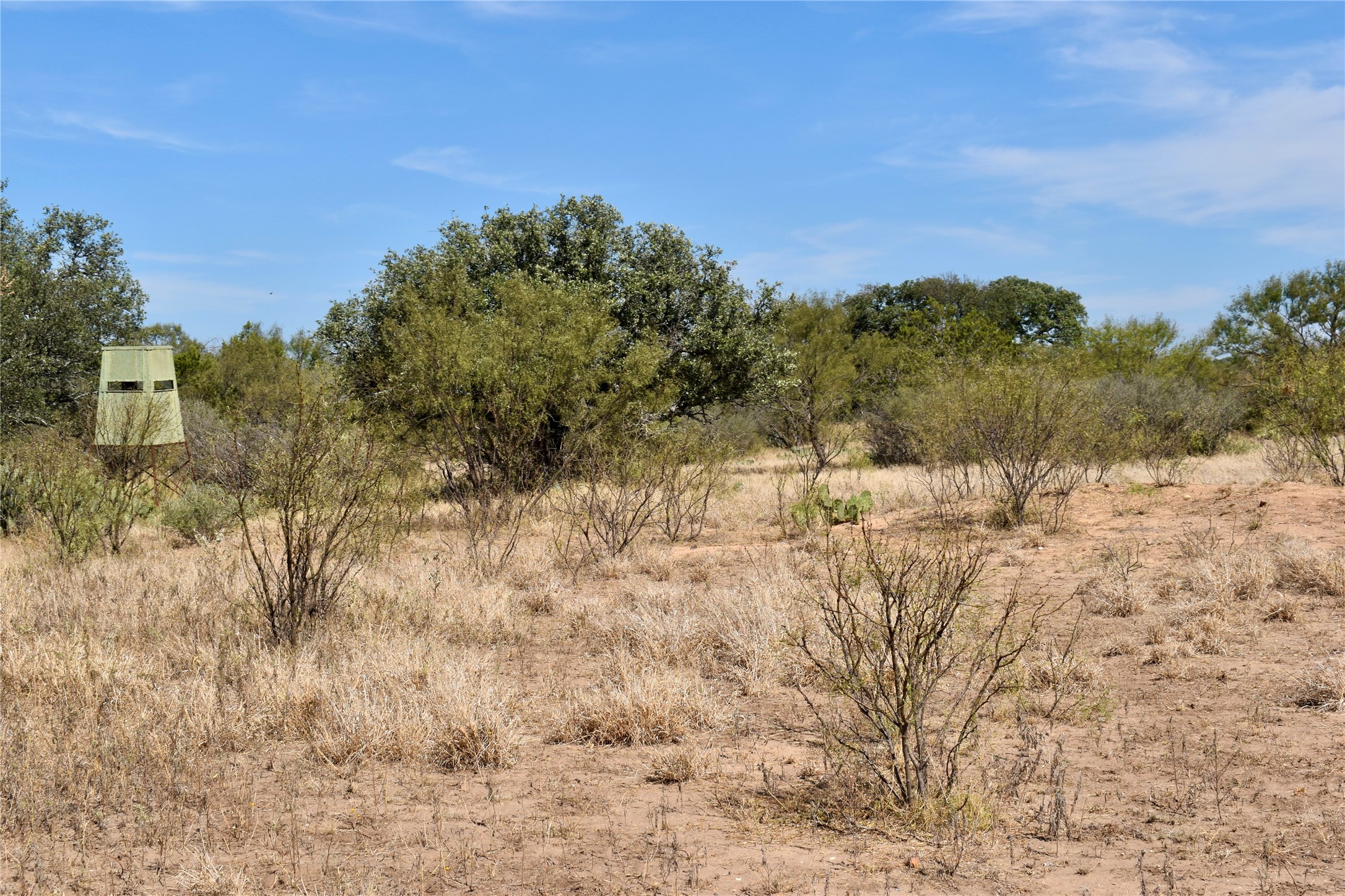 19319 Ranch Road 1871 Mason TX 76856