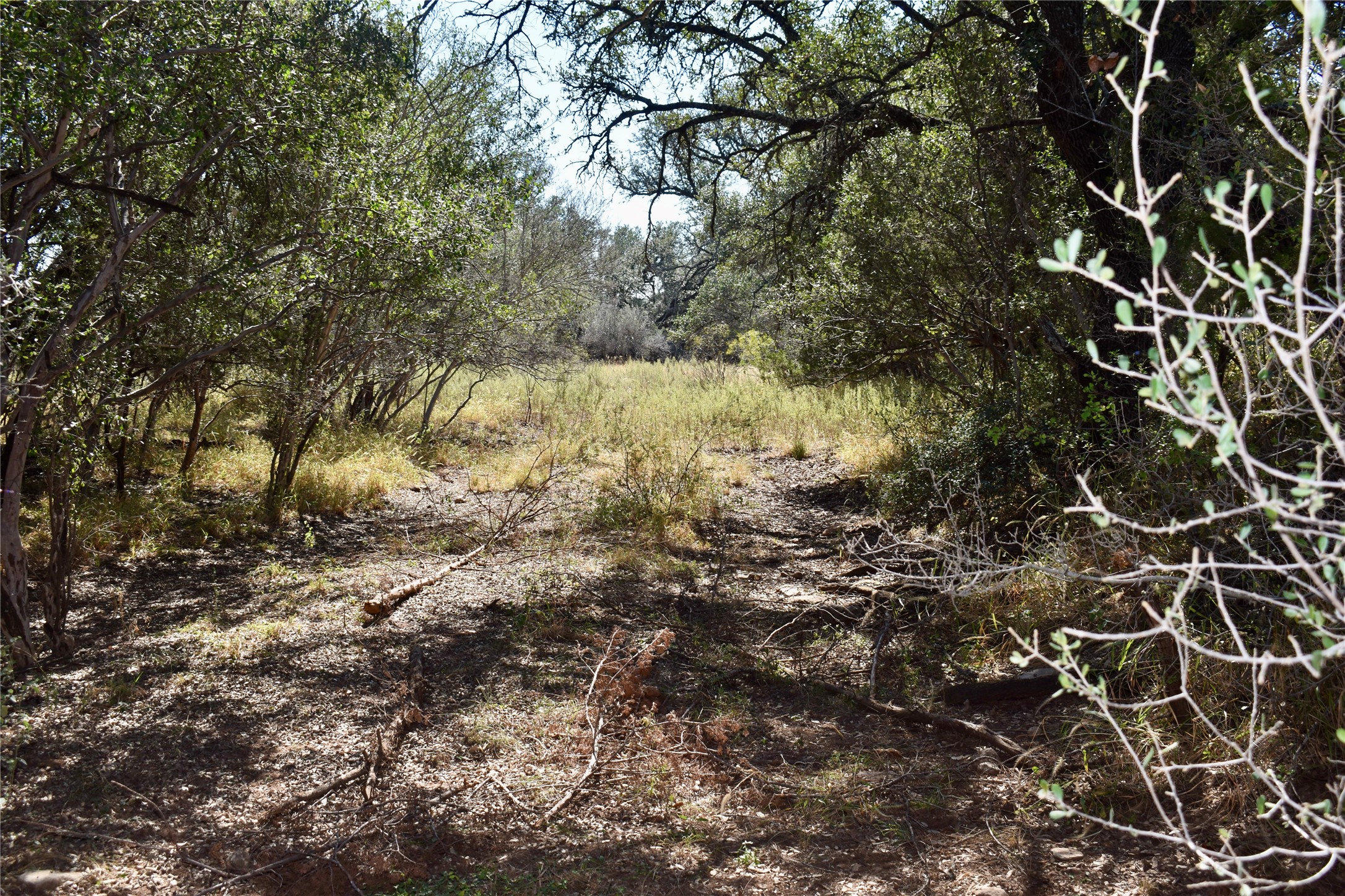 19319 Ranch Road 1871 Mason TX 76856