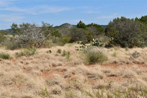 19319 Ranch Road 1871 Mason TX 76856