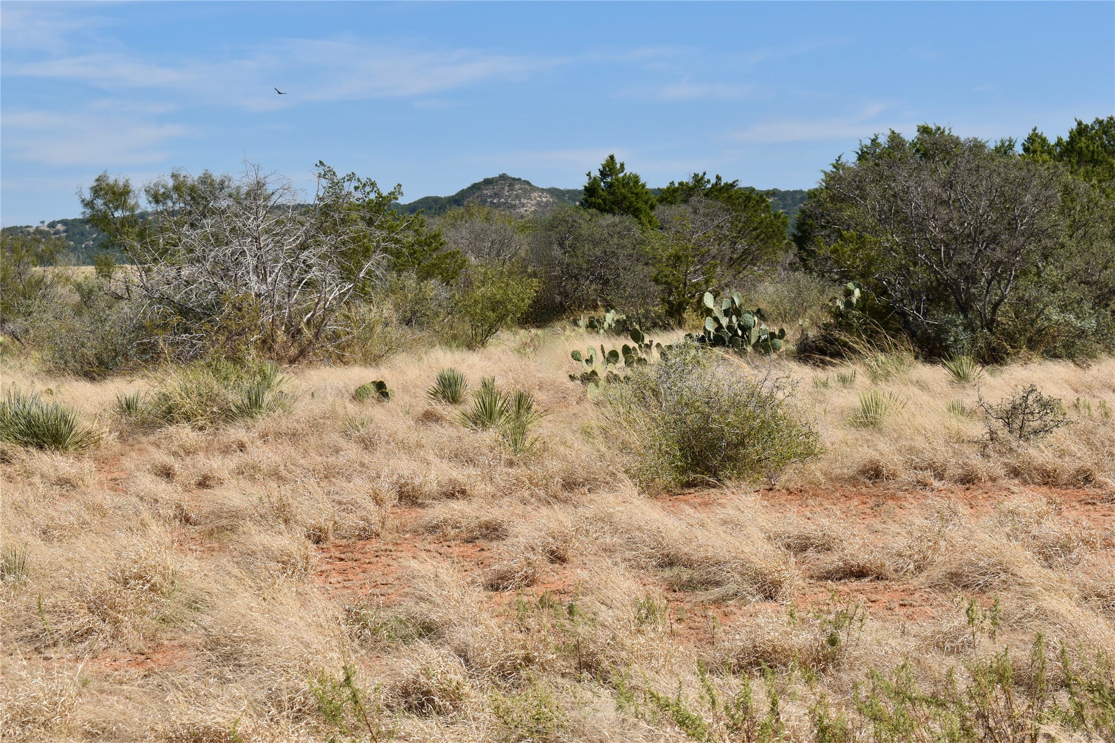 19319 Ranch Road 1871 Mason TX 76856