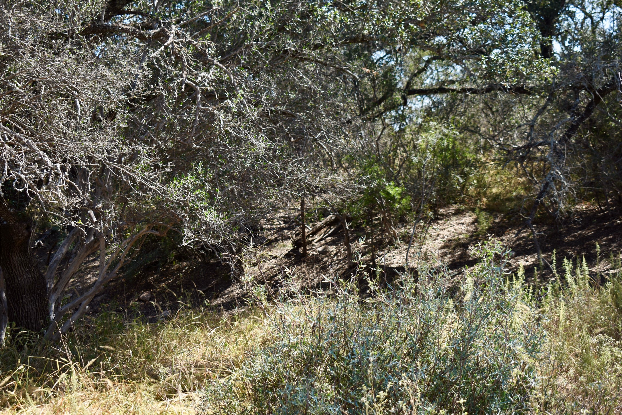 19319 Ranch Road 1871 Mason TX 76856