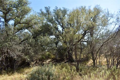 19319 Ranch Road 1871 Mason TX 76856