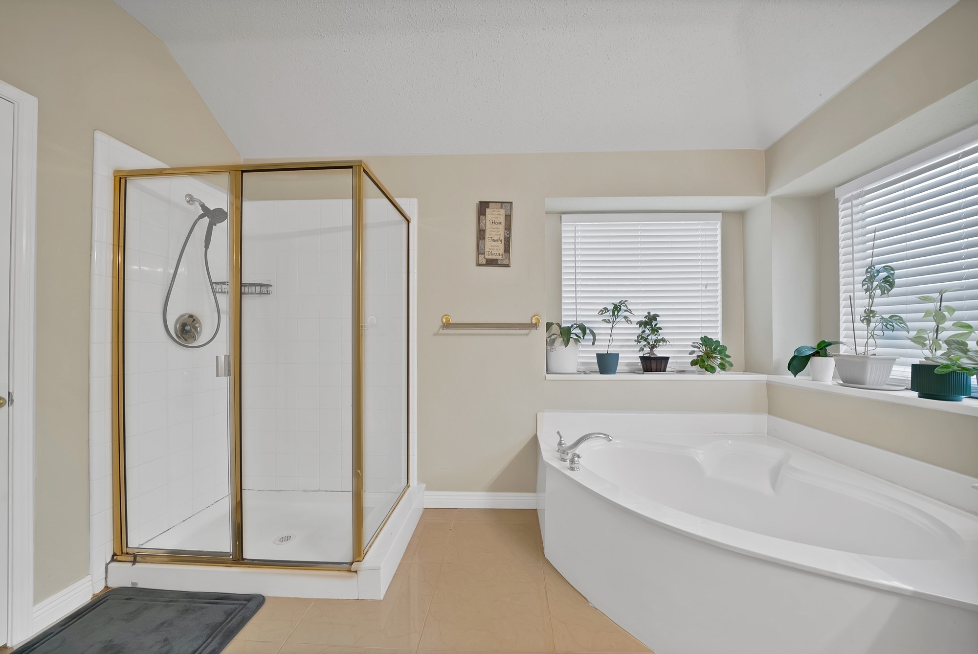 1625 Deer Creek Drive Desoto TX 75115