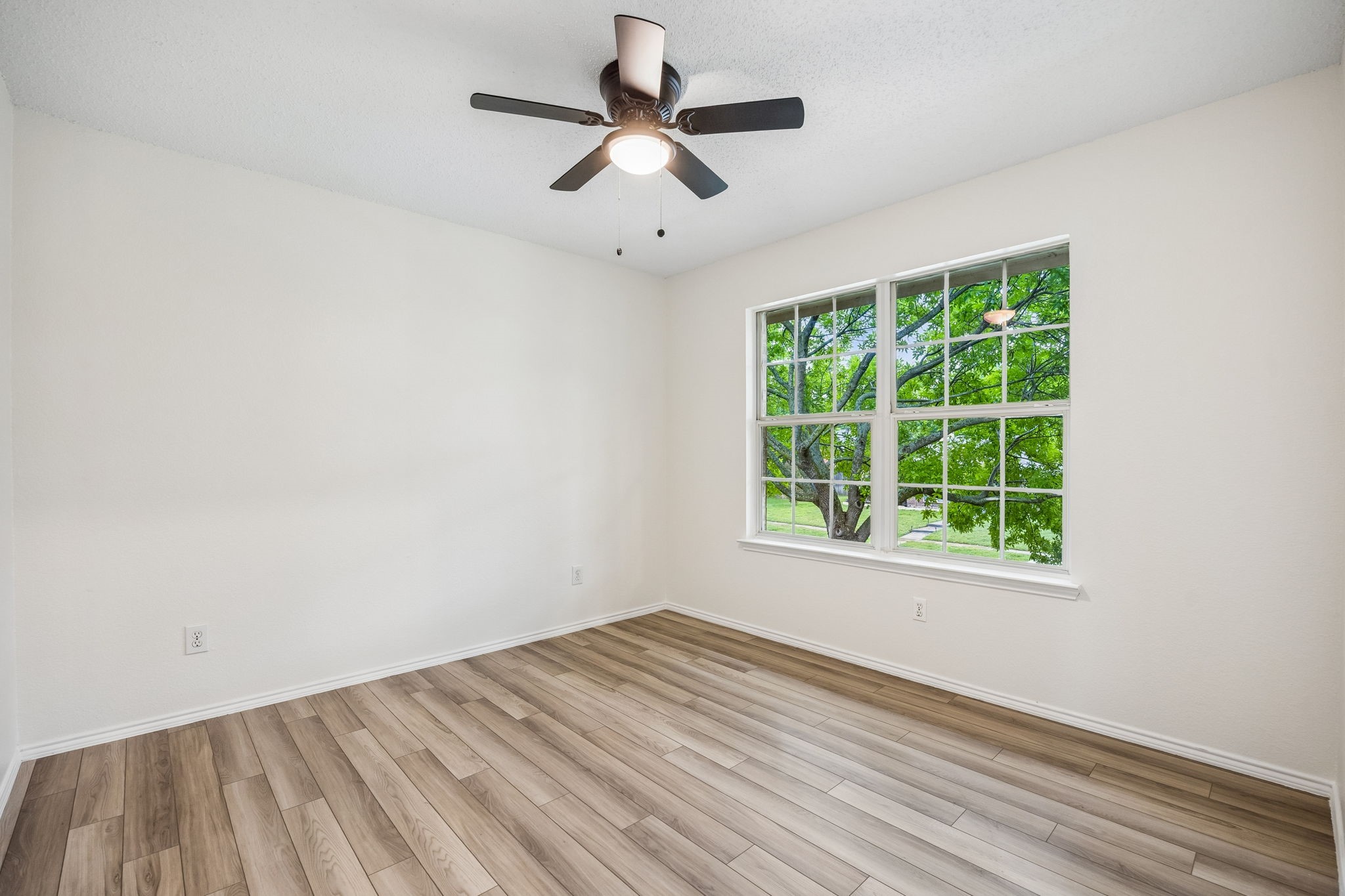 203 Arbor Ridge Drive Allen TX 75002