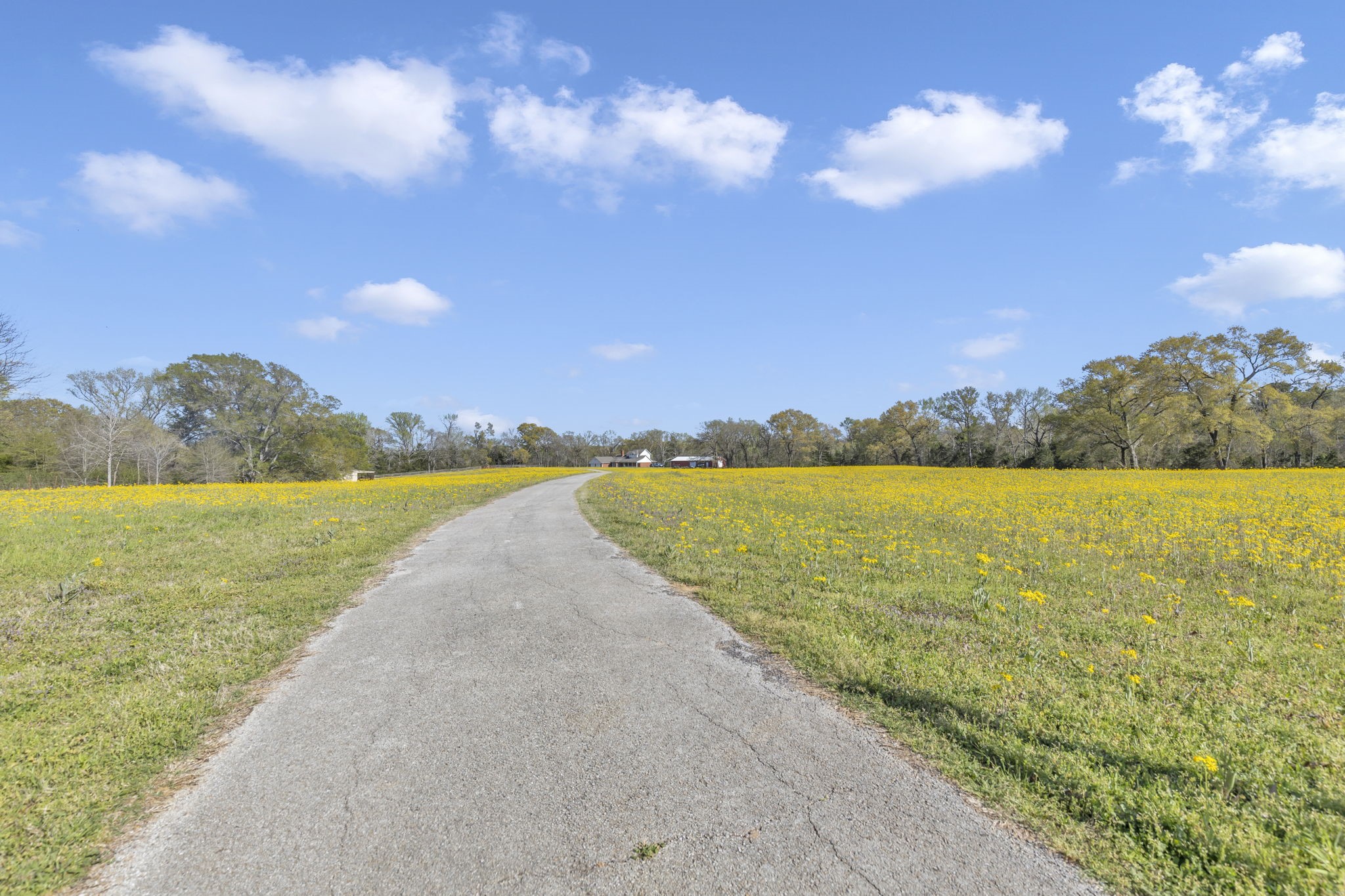 18340 County Road 479 Road Lindale TX 75771