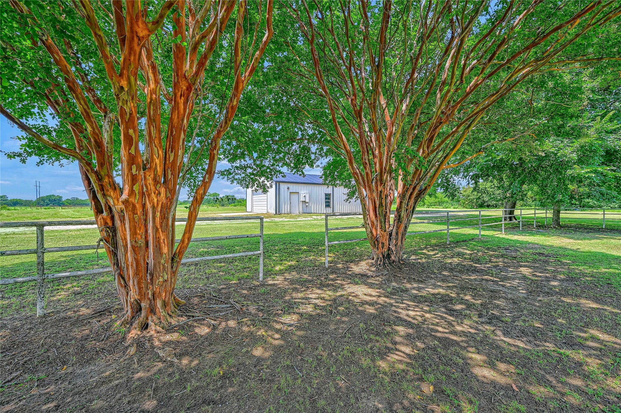 1101 Brooks Lane Sadler TX 76264