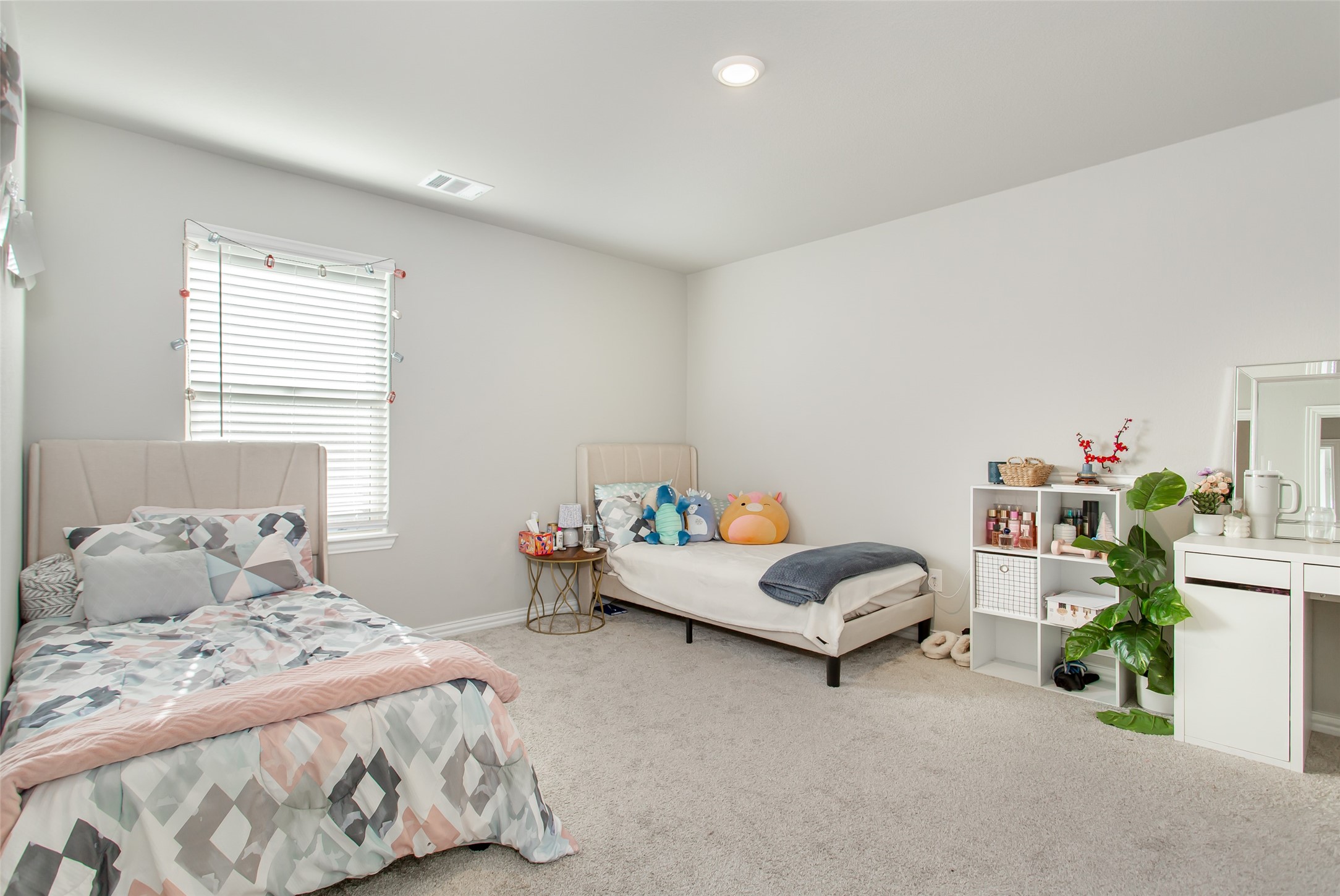 2437 Pinnacle Place Corinth TX 76210