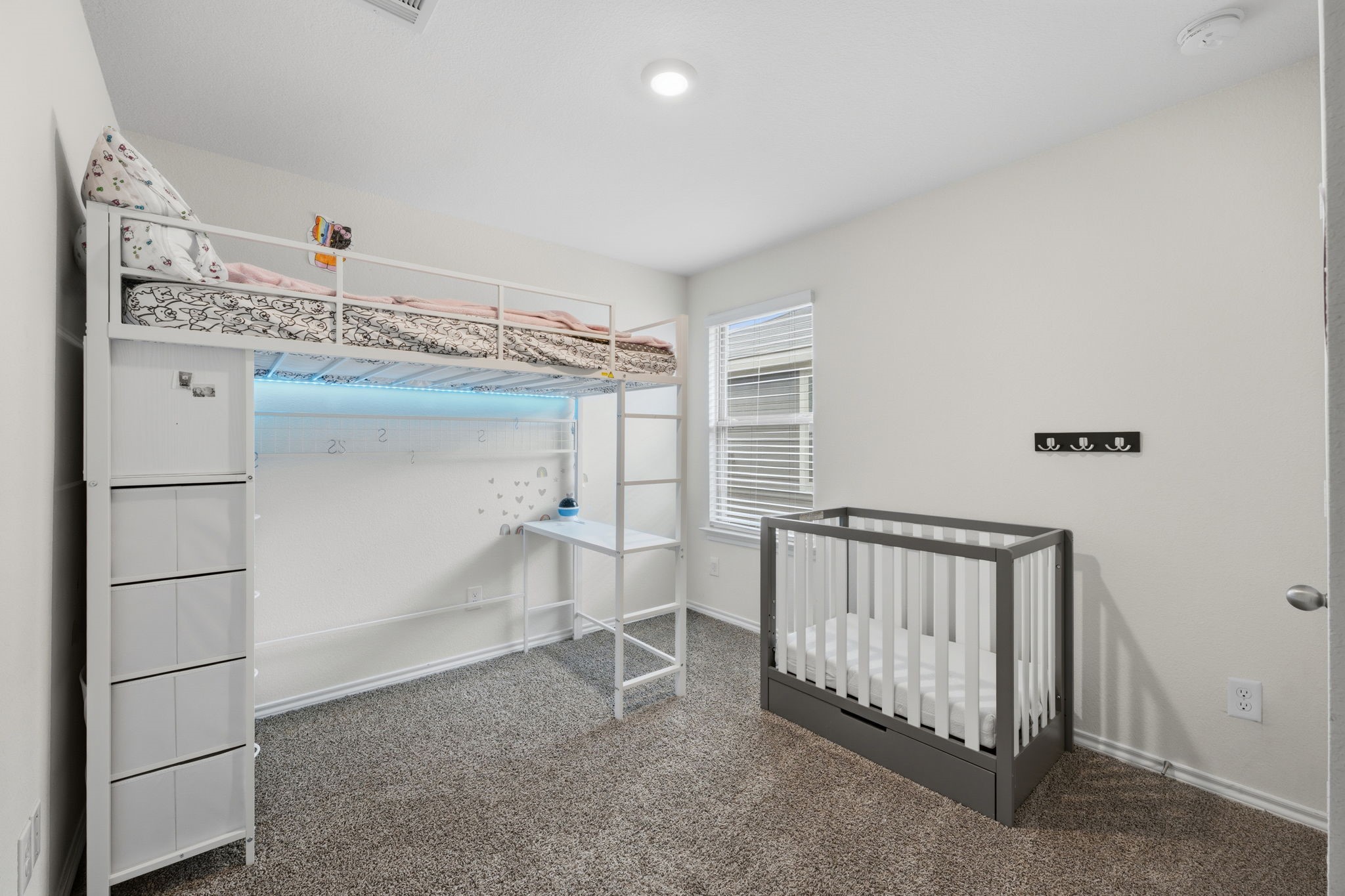 316 Creek End Drive Princeton TX 75407