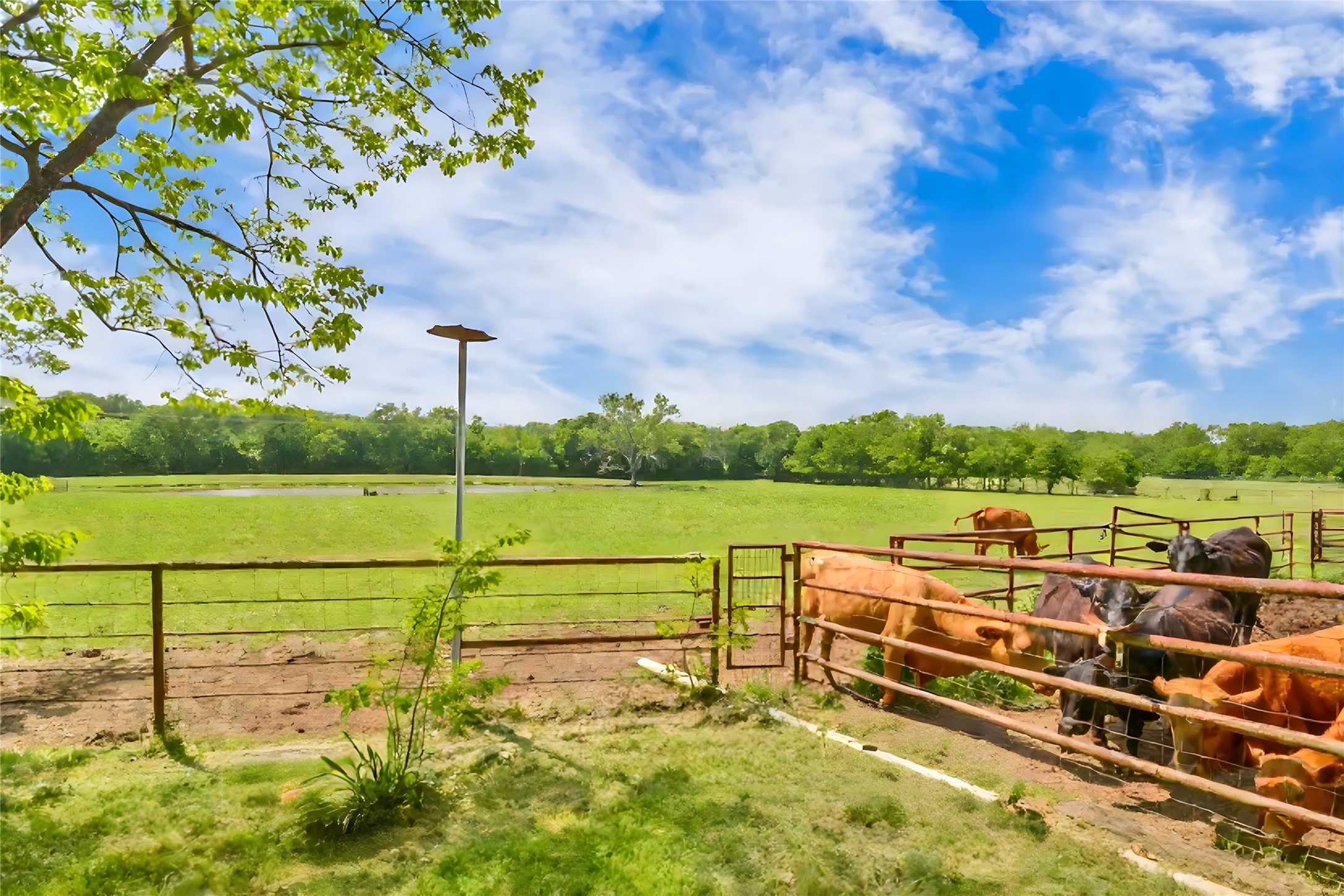 6565 Rockridge Aubrey TX 76227