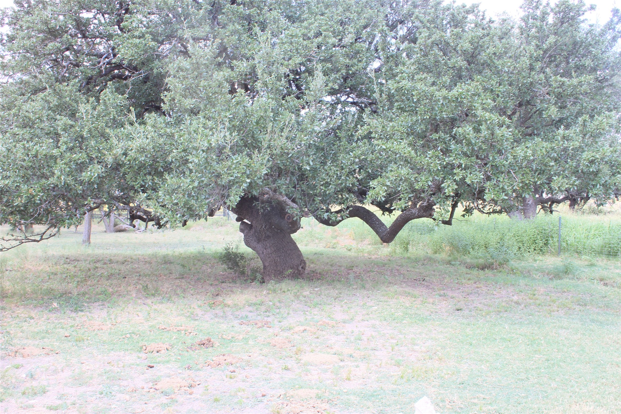 191 County Road 358 Richland Springs TX 76871
