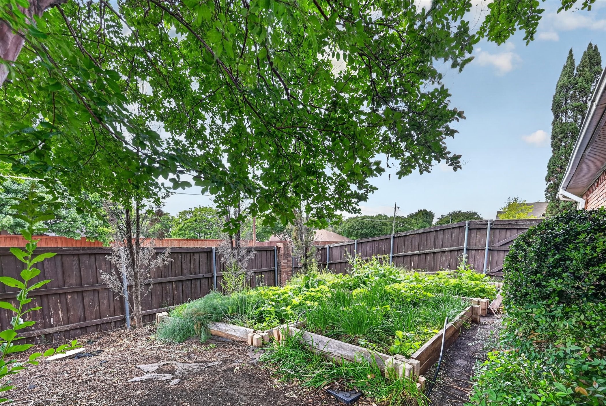 820 Wynnpage Lane Plano TX 75075