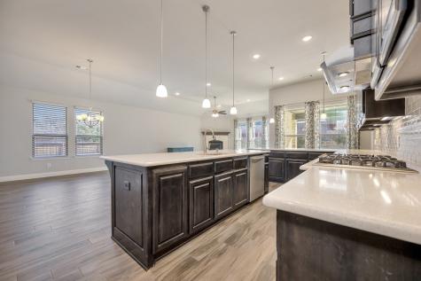 9820 Surveyor Road Little Elm TX 75068