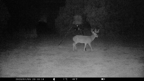 5636 Fm 56 Clifton TX 76634