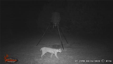 5636 Fm 56 Clifton TX 76634