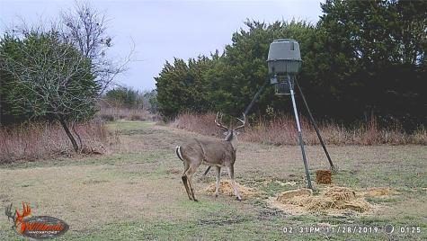 5636 Fm 56 Clifton TX 76634