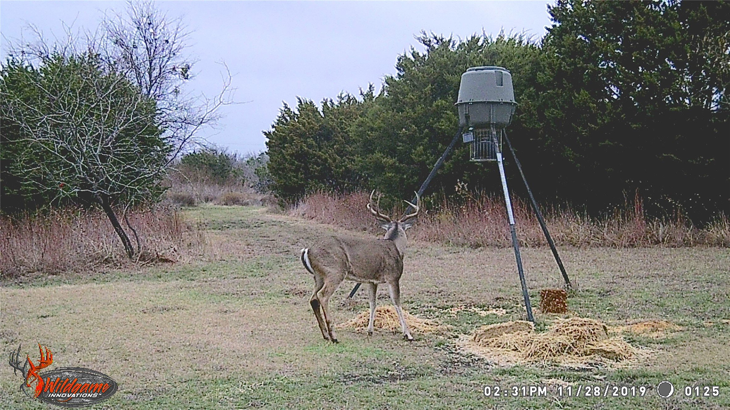 5636 Fm 56 Clifton TX 76634