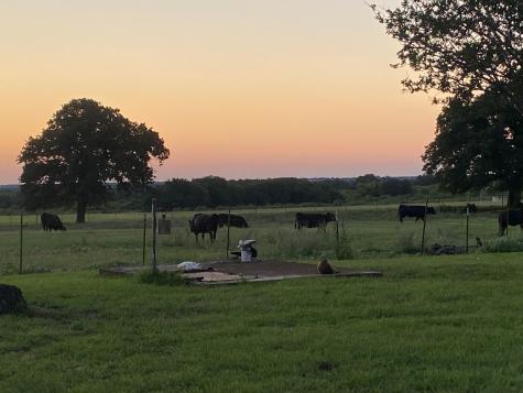 1350 County Road 404 Comanche TX 76442
