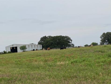 1350 County Road 404 Comanche TX 76442