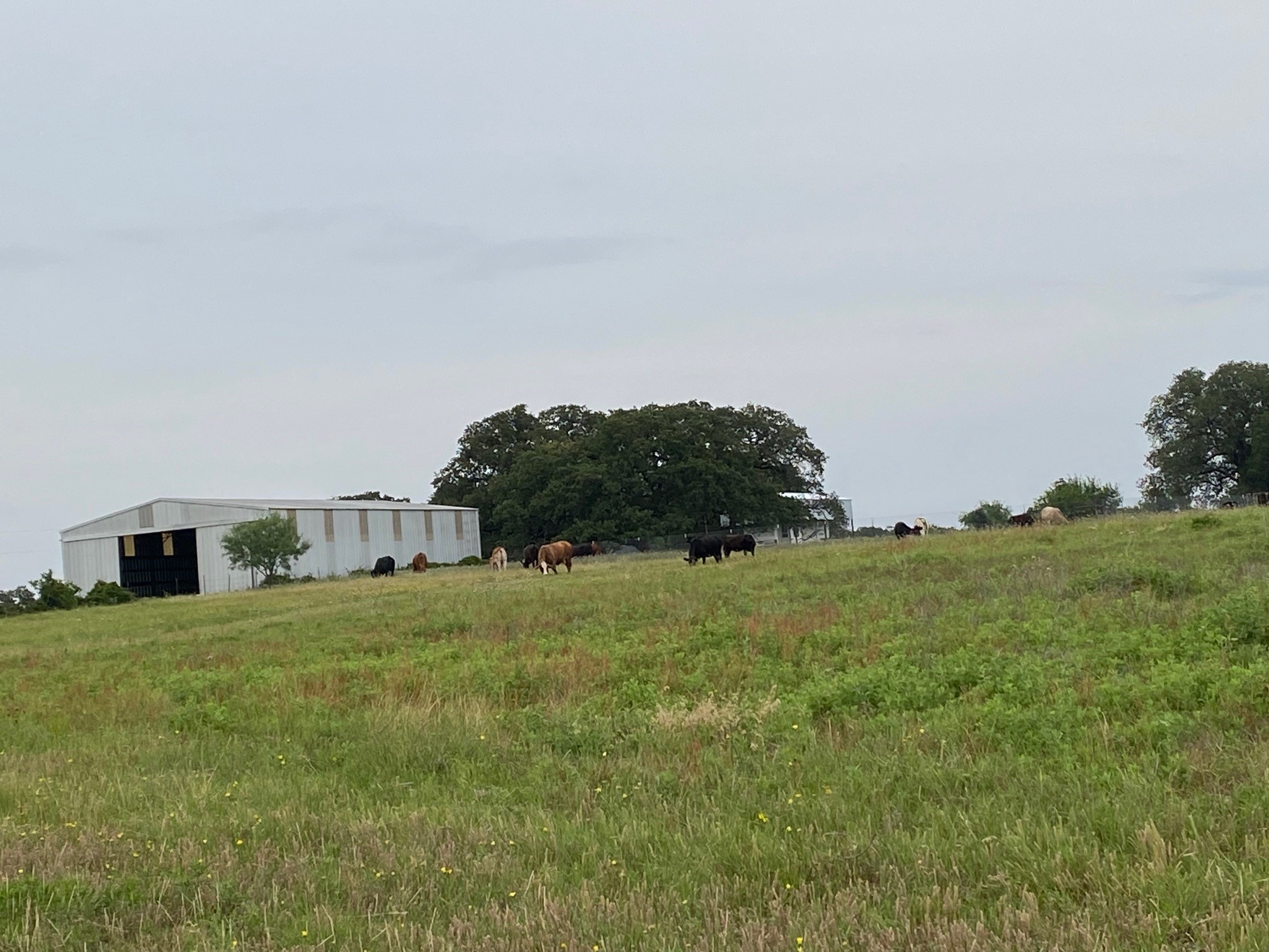 1350 County Road 404 Comanche TX 76442