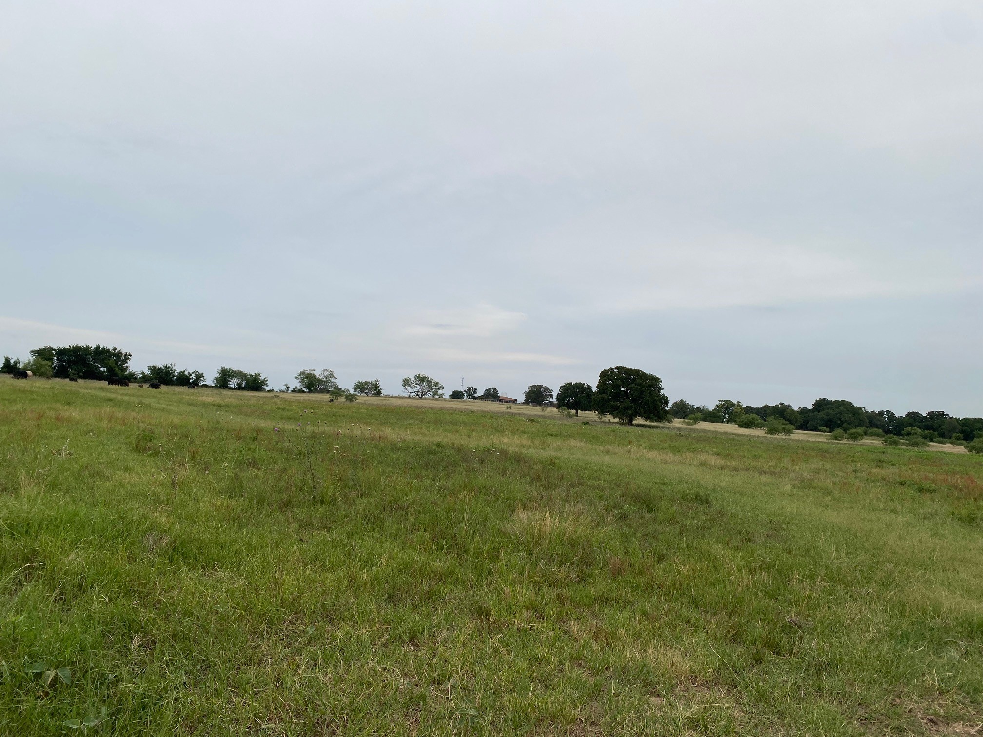 1350 County Road 404 Comanche TX 76442