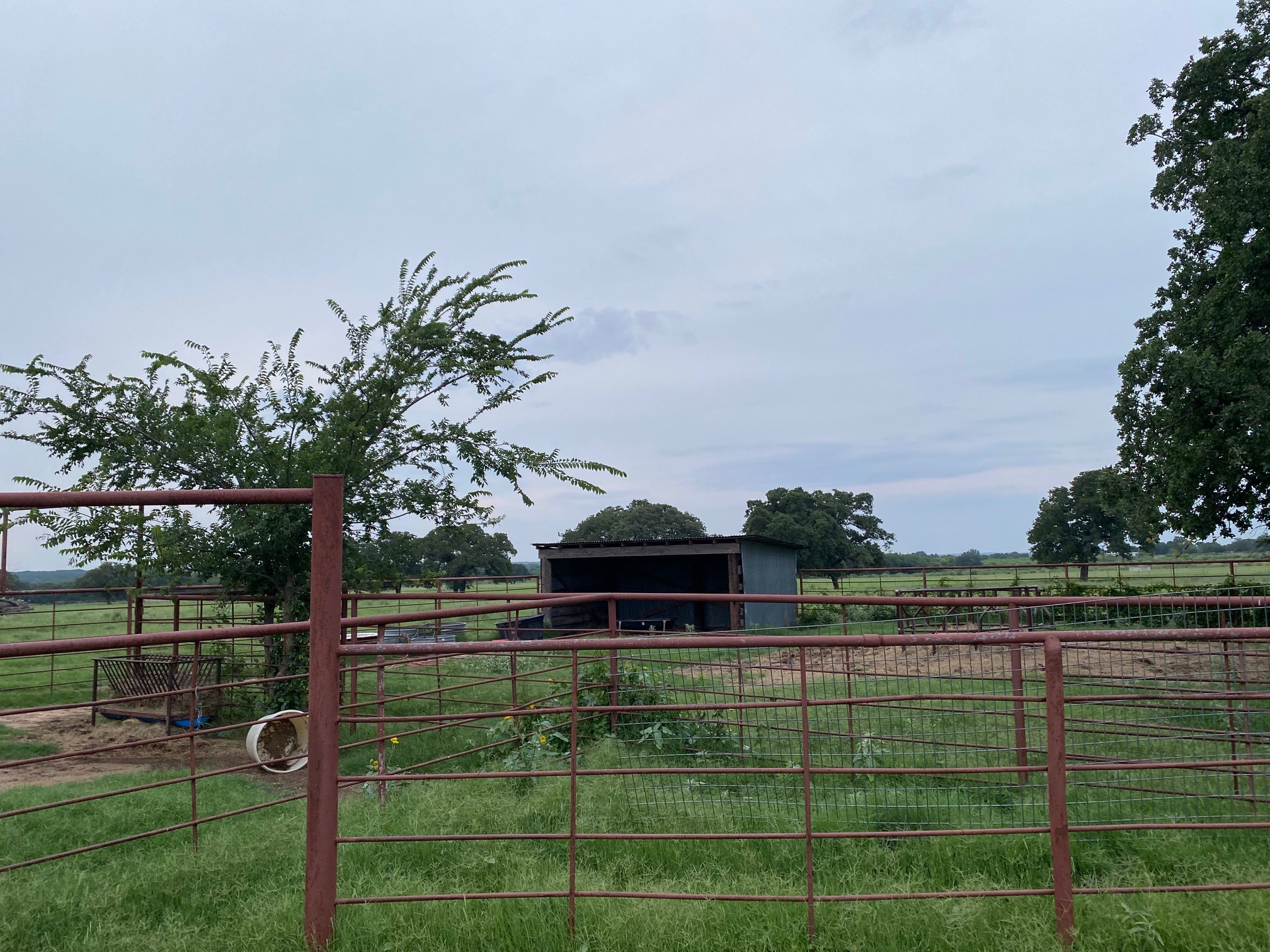 1350 County Road 404 Comanche TX 76442