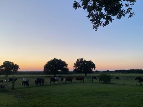 1350 County Road 404 Comanche TX 76442