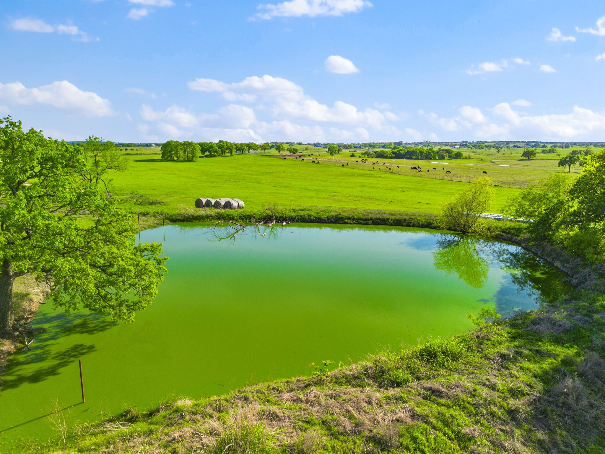 266 County Road 4577 Boyd TX 76023
