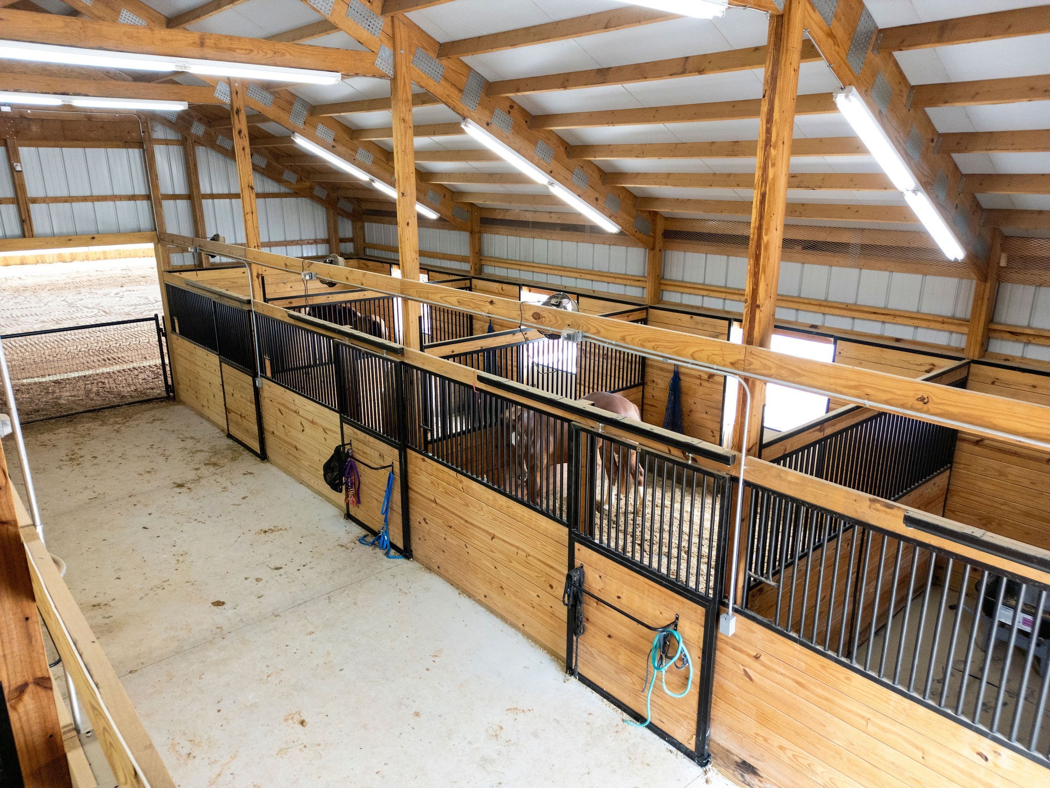 370 Vz County Road 4134 Canton TX 75103