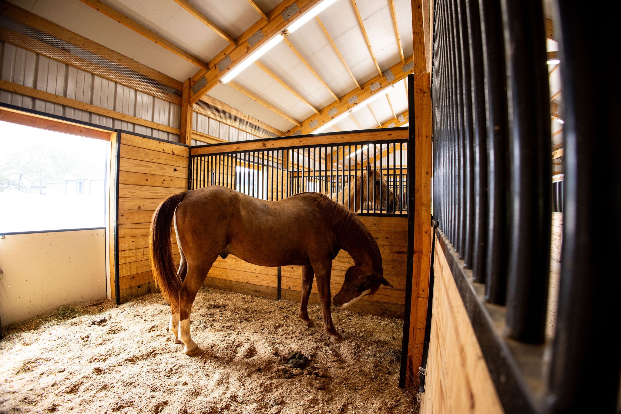 370 Vz County Road 4134 Canton TX 75103