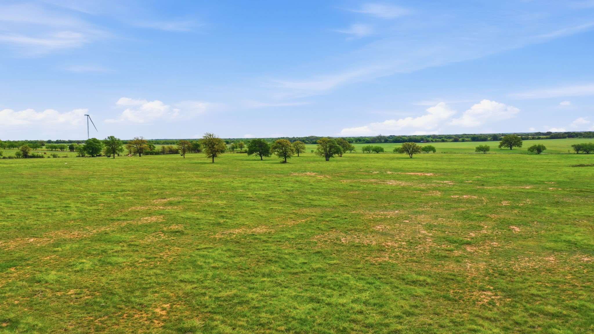 Tbd County Road 403 Cisco TX 76437